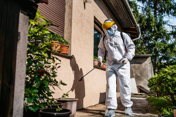 Best Bed Bug Extermination  in Fremont, CA