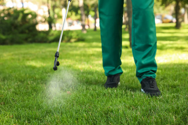 Best Flea Control Services  in Fremont, CA