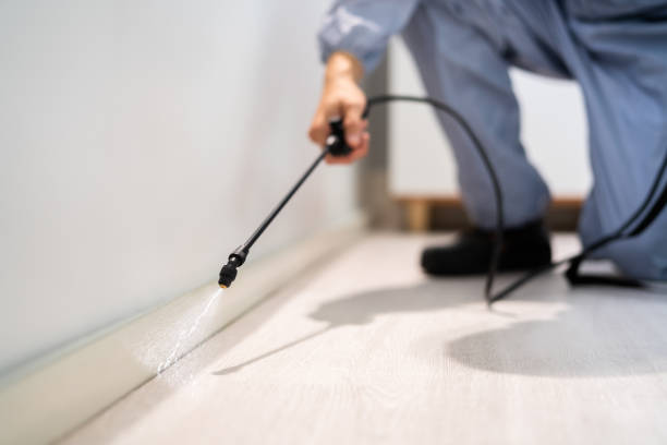 Wildlife Control Services in Fremont, CA