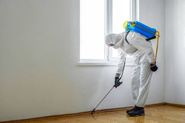 Best Best Pest Control Companies  in Fremont, CA