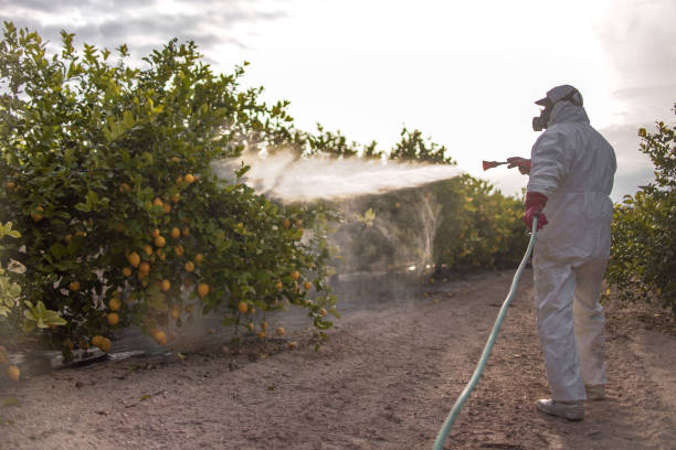 Best Pest Inspection Near Me  in Fremont, CA