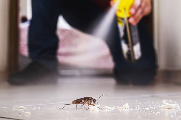 Best Pest Control Near Me  in Fremont, CA